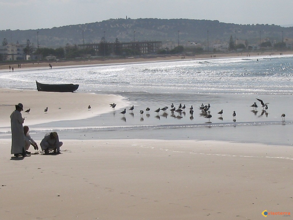 Essaouira, strand Essaouira zandstrand