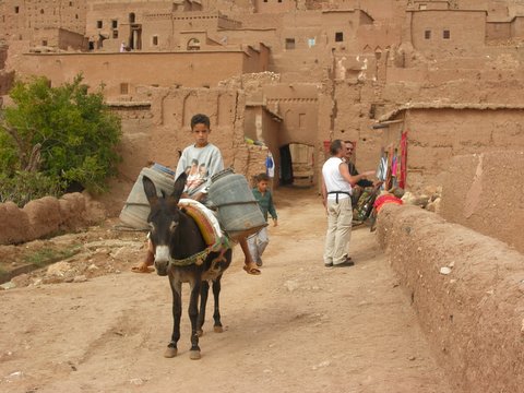 boy transports goods on a donkey