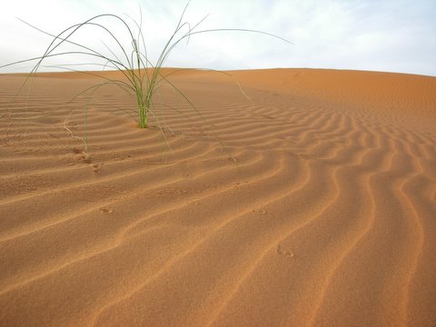 desert on the way to Goulimine