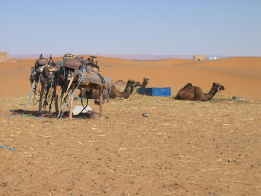 caravant in te south of Morocco
