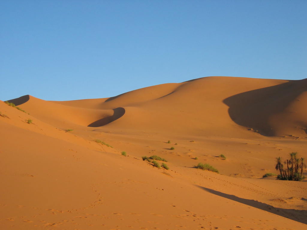 sand dunes Merzouga